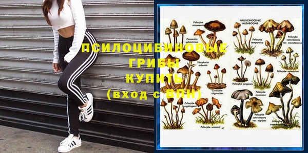 круглые Алексеевка
