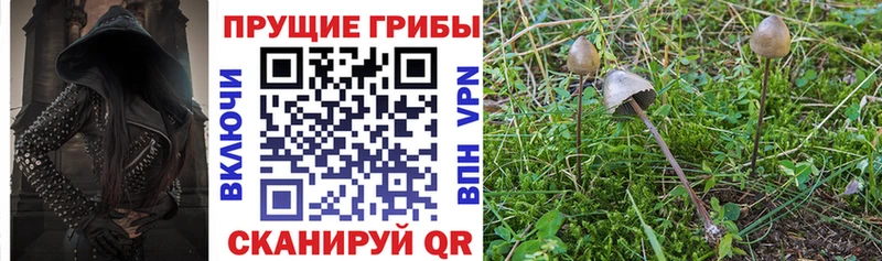 Галлюциногенные грибы мицелий Кондопога